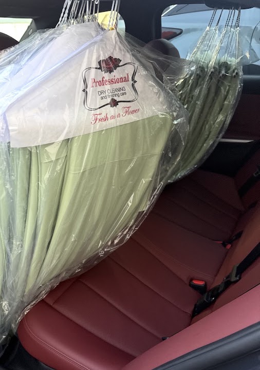 Dry X | Mobile Dry Cleaning storefront photo from Google