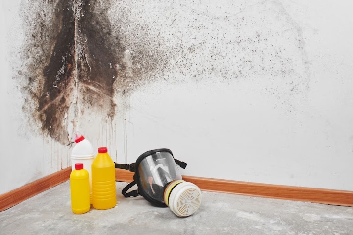 AJ Dry Clean Mold Removal & Remediation Fremont CA storefront photo from Google