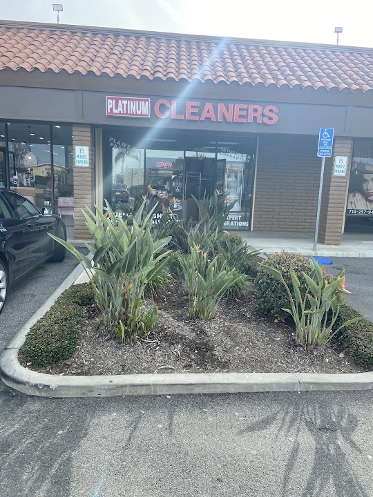 Platinum Cleaners storefront photo from Google
