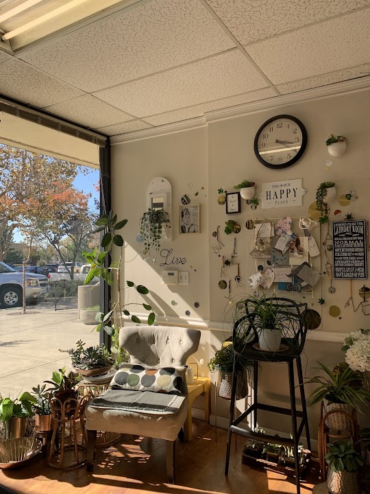 Alpine Cleaners storefront photo from Google
