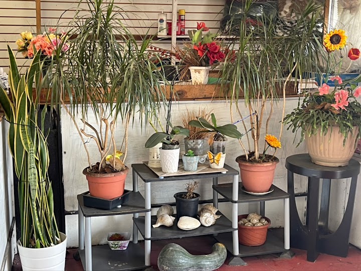 Fruitvale Cleaners storefront photo from Google