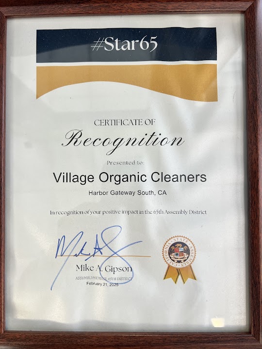 Village Organic Cleaners storefront photo from Google