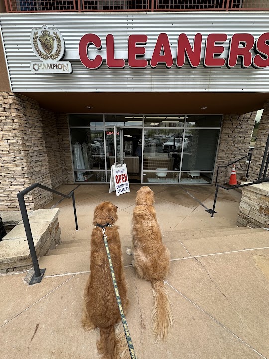 Champion Cleaners storefront photo from Google
