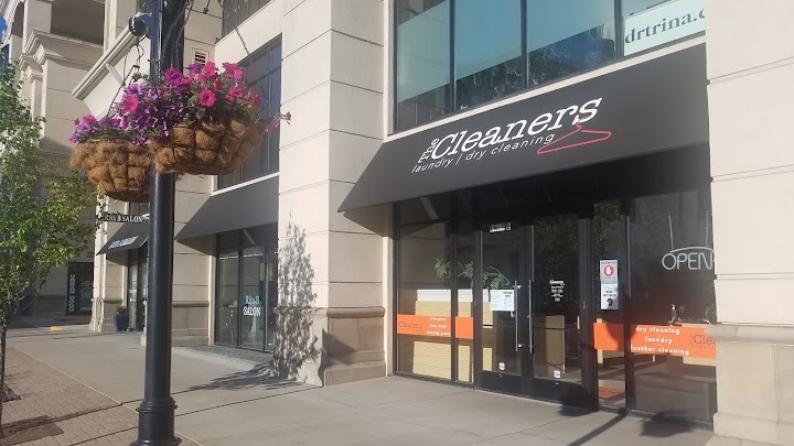 The Cleaners Delivery storefront photo from Google