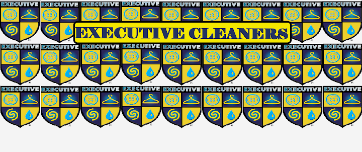 Executive Cleaners storefront photo from Google