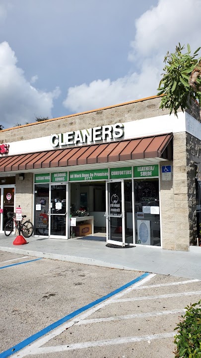 Apple Dry Cleaners storefront photo from Google