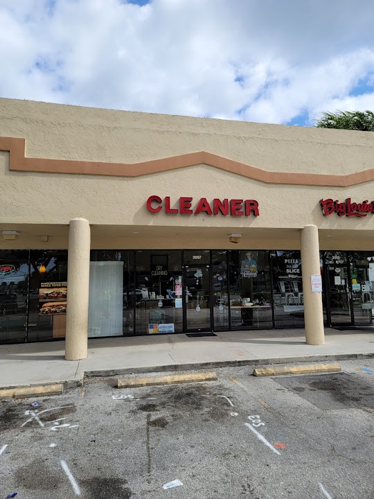 The Dry Cleaner storefront photo from Google