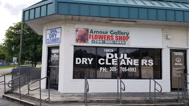 Dul Dry Cleaners storefront photo from Google