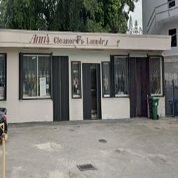 Ann's Dry Cleaning & Laundry storefront photo from Google