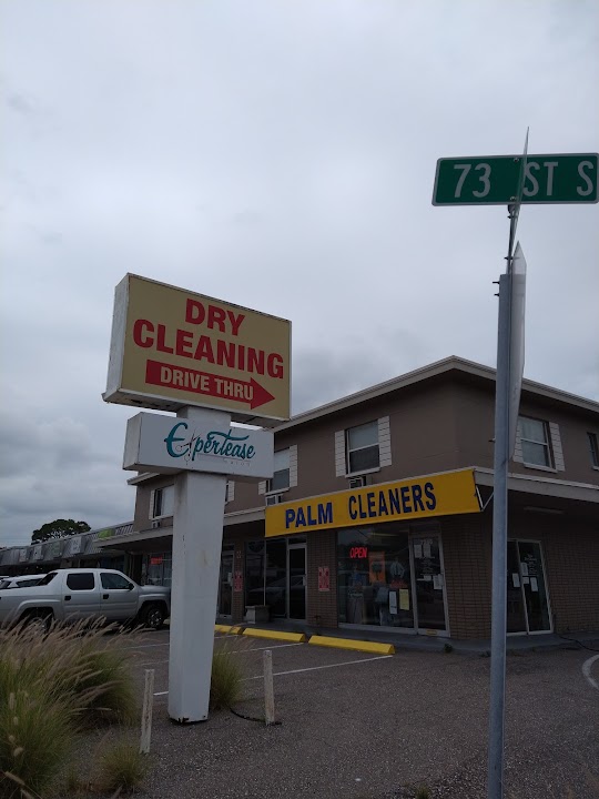 Palm Cleaner storefront photo from Google