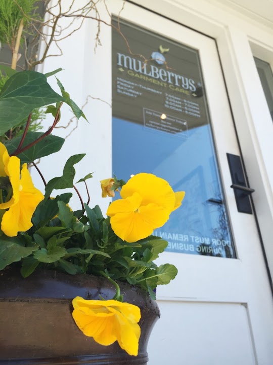 Mulberrys: Minneapolis Dry Cleaners & Laundry storefront photo from Google