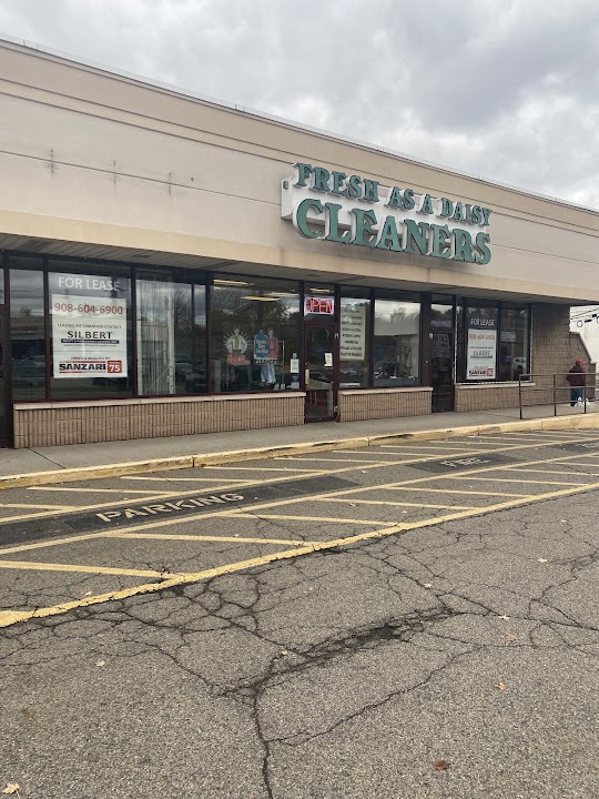 Fresh As A Daisy Cleaners storefront photo from Google