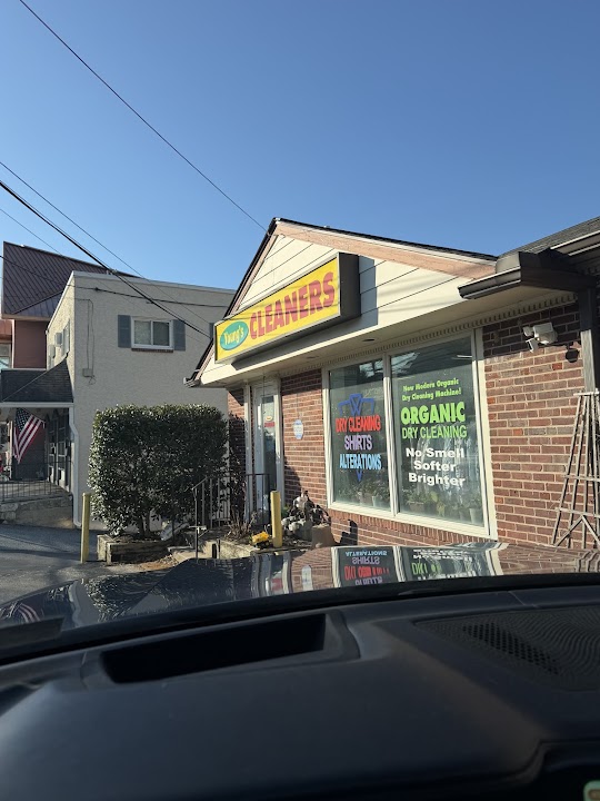 Young's Cleaner storefront photo from Google
