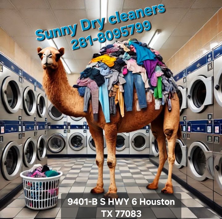 Sunny Cleaner storefront photo from Google