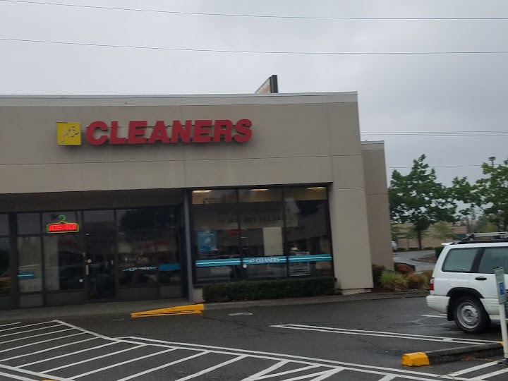 Ace Dry Cleaner storefront photo from Google